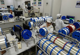 蘇商從 魚米之鄉(xiāng) 邁向世界舞臺