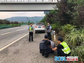 好危險(xiǎn) 巴達(dá)高速上一小車(chē)瘋狂逆行被截停